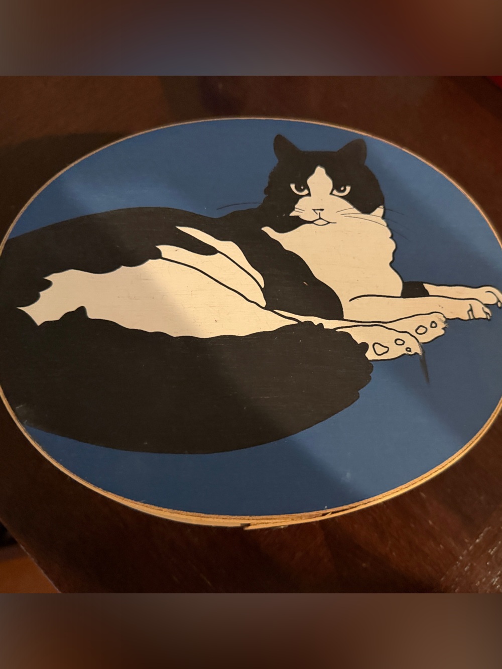 Blue Cat Wall Art shaker box - Decorative Pet Cat Print